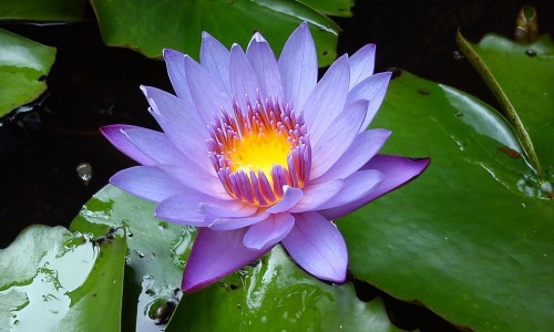 1段怎么转2段奶粉-怎么从1段换2段换奶粉好不好网 :分享如何从一段奶粉过渡到二段奶粉-一段换二段奶粉的正确转换方法知识